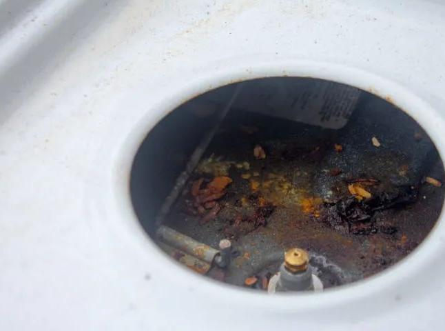 欧洲艺术留学费用详解：一次搞懂预算规划！