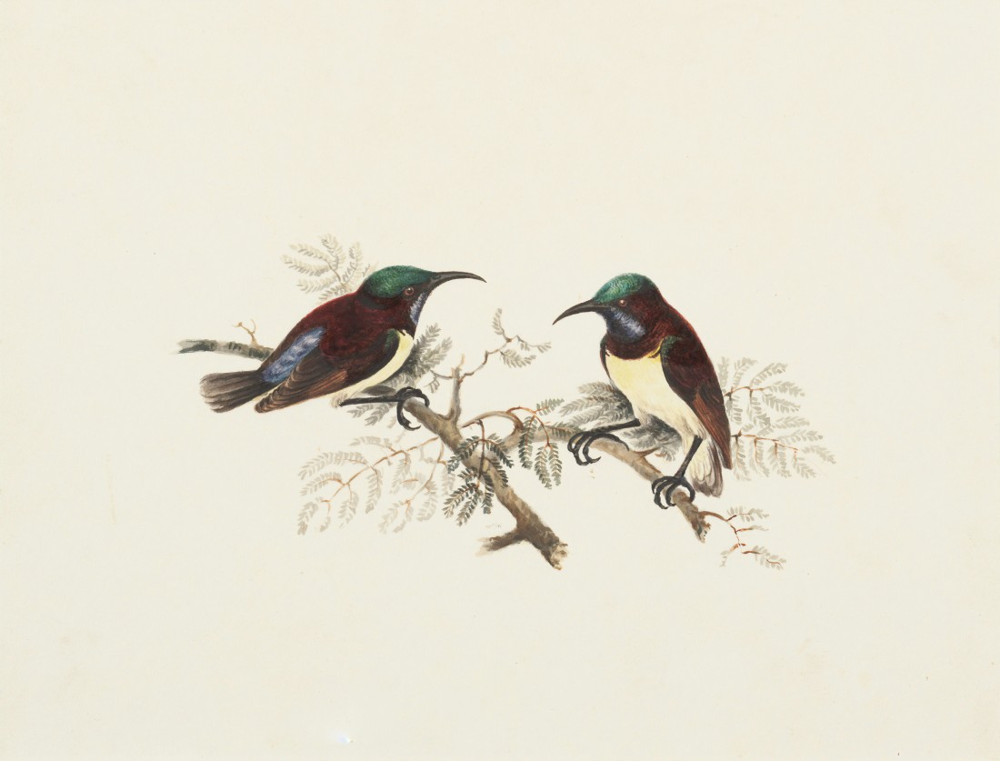 2025英国插画留学作品集培训
