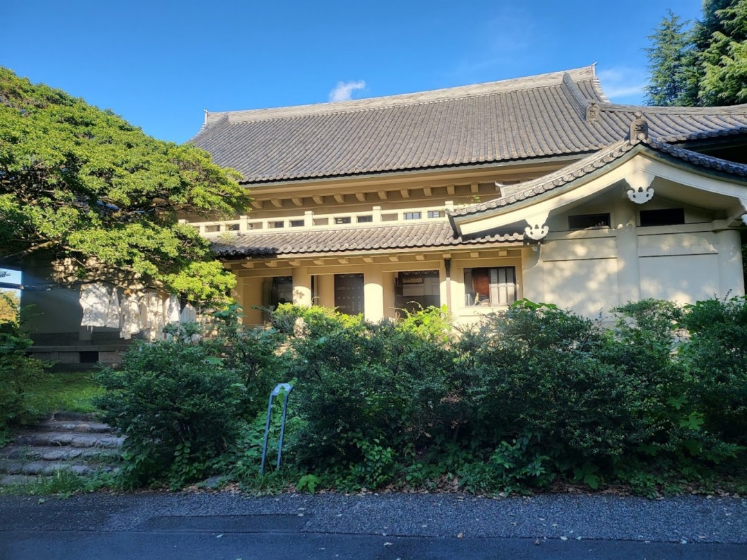京都大学最新排名