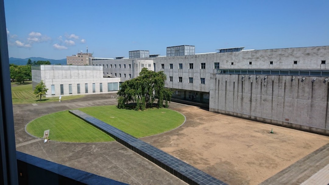 京都大学最新排名