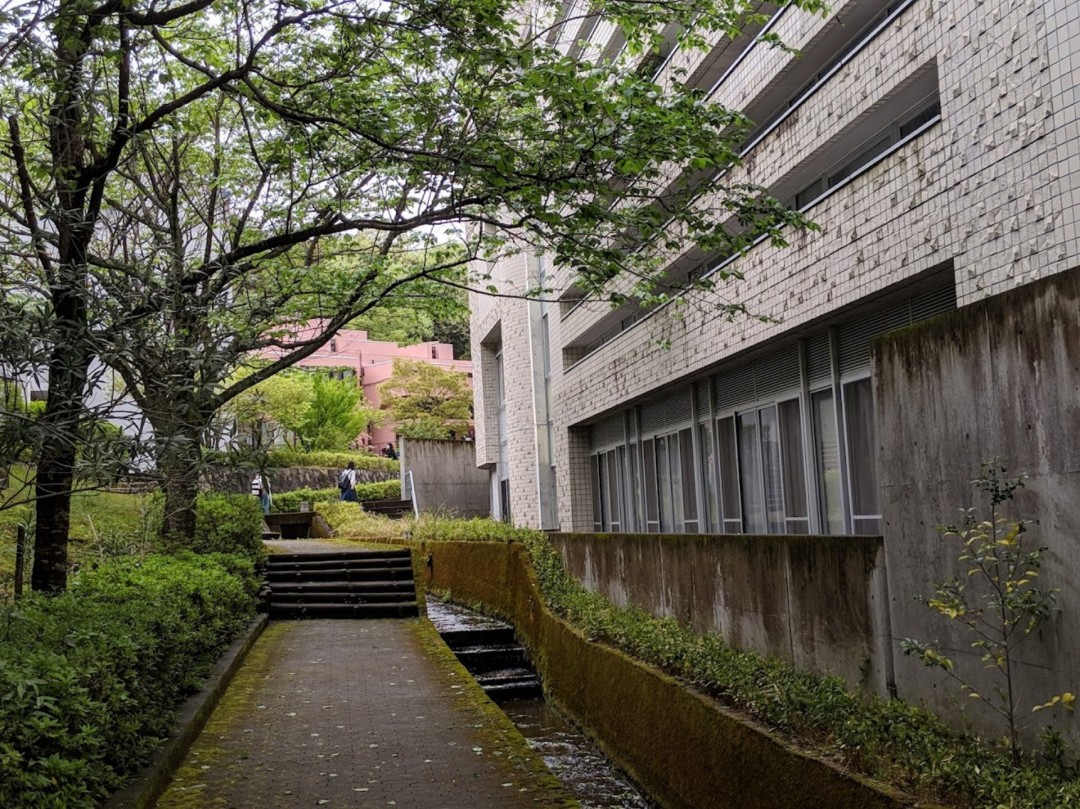 女子美术大学2025最新QS排名
