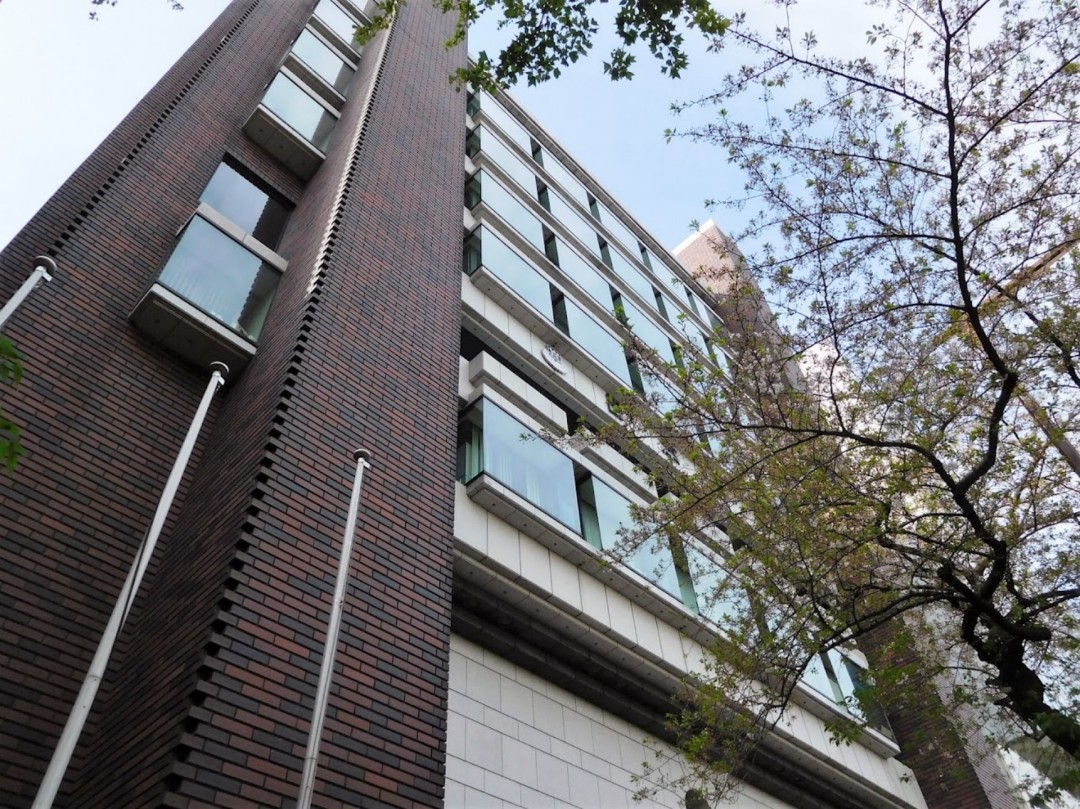 成安造形大学作品集要求有哪些？一文看懂申请要点