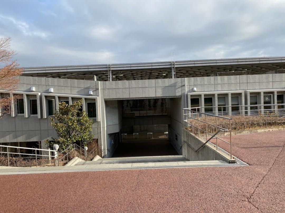筑波大学最新排名