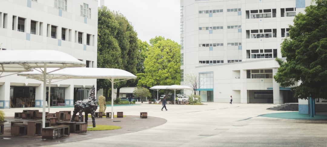 金泽艺术工艺大学最新排名第几有变化吗