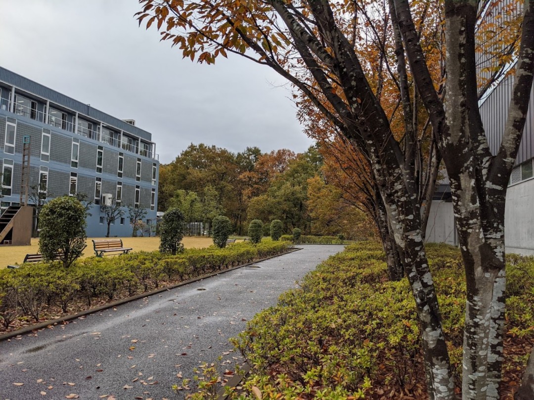 日本大学优势有哪些值得申请吗