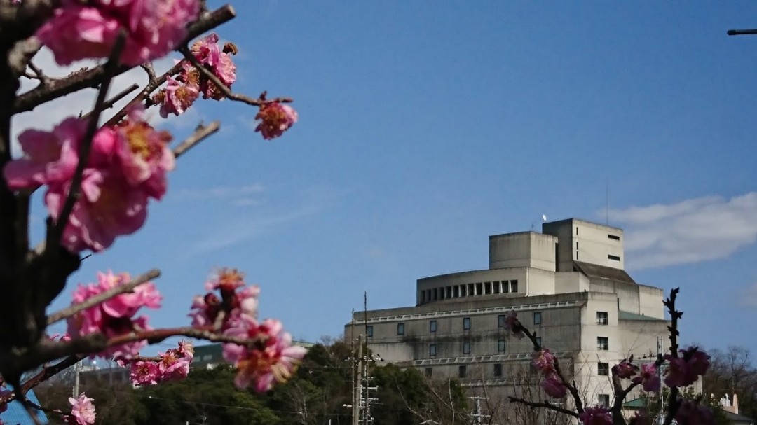 冲绳县立艺术大学最新排名与留学价值分析