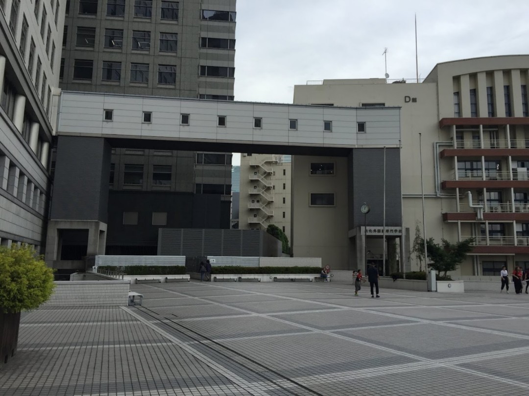 东京造形大学怎么样优势专业有哪些
