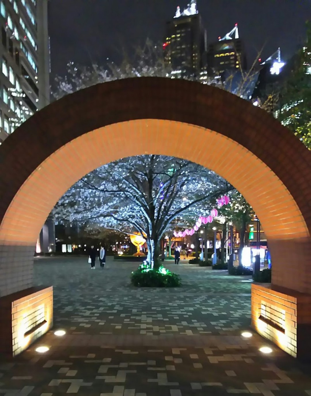 京都大学作品集要求