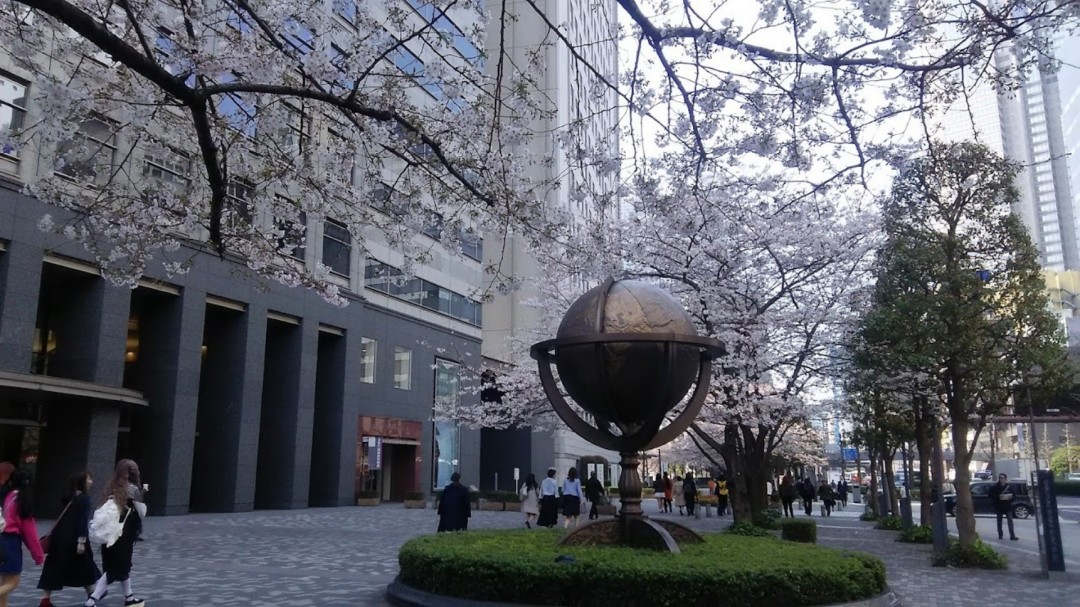 京都大学作品集要求