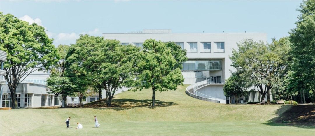 京都大学2025年热门专业揭晓