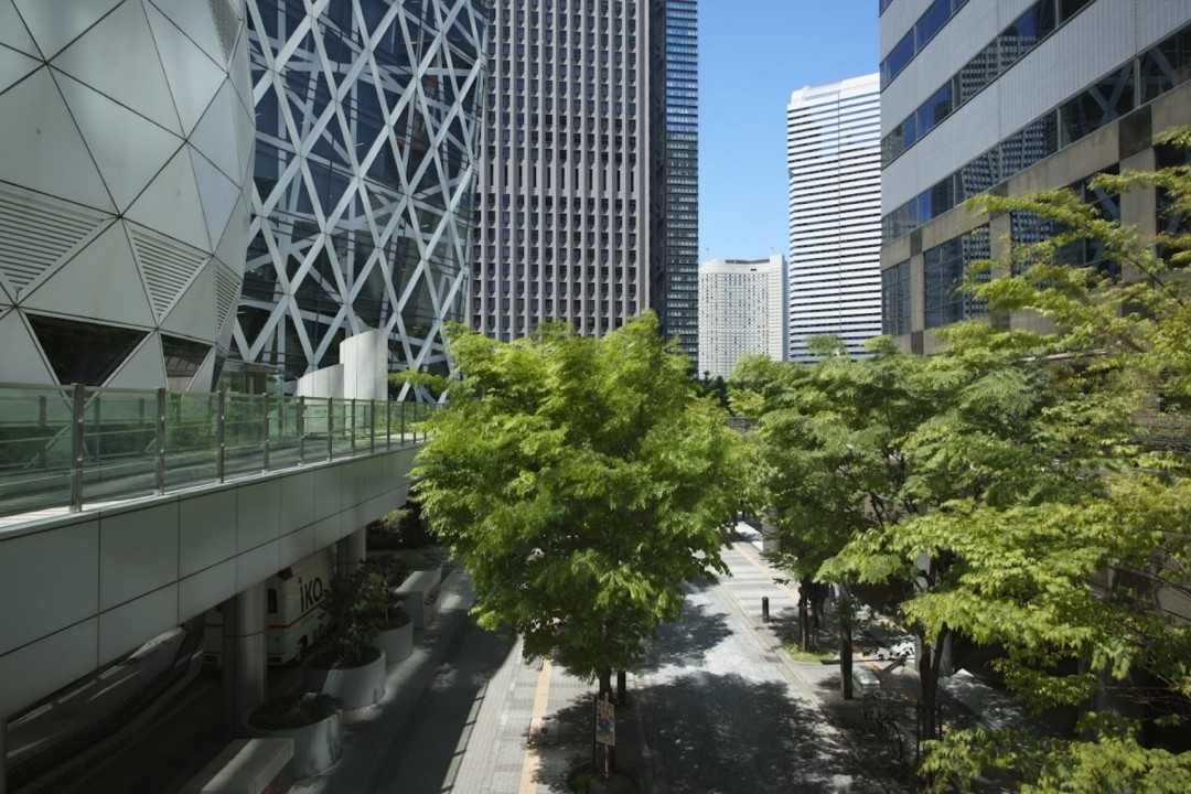多摩美术大学有什么专业艺术专业排名怎么样