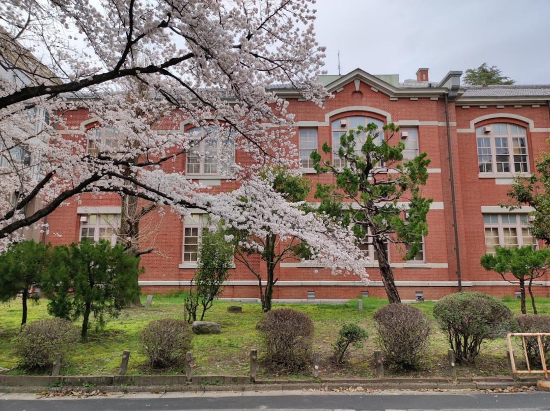 京都艺术大学好不好 申请条件高吗