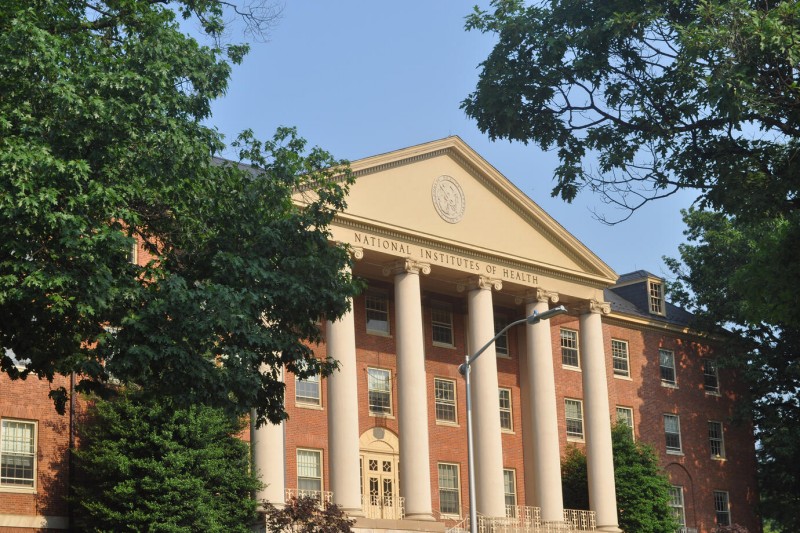 伦敦大学学院艺术史专业值得申请吗？全球学生如何脱颖而出